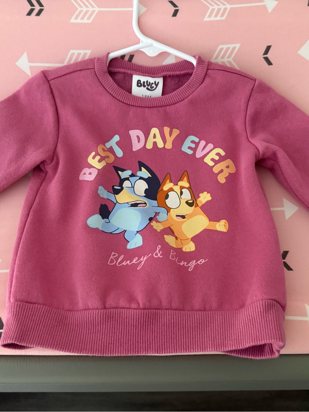 Bluey & Bingo Sweatshirt - 18M